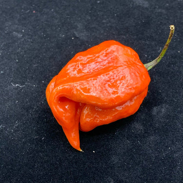 7 Pot Defcon - Seeds - The Pepper Pantry (Formerly Marie Sharp's)